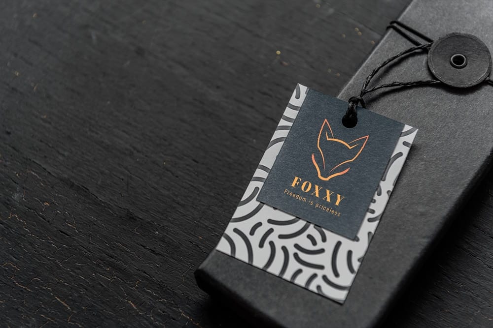 foxxy logo dien design